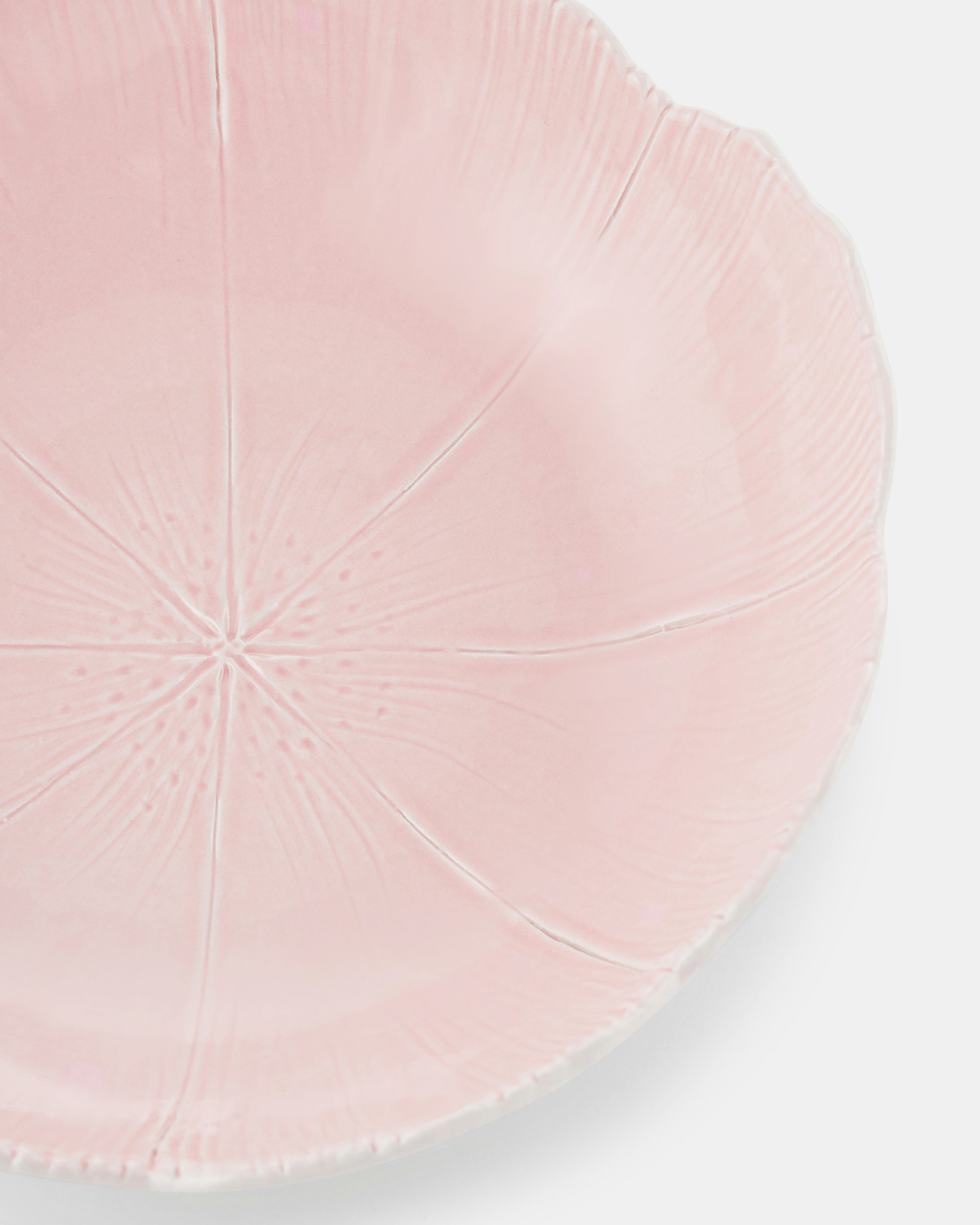 食器 pluie PIEDRA pink 食器 pluie PIEDRA pink Amazon.com: Twdrer 2lb/950g Small Natural