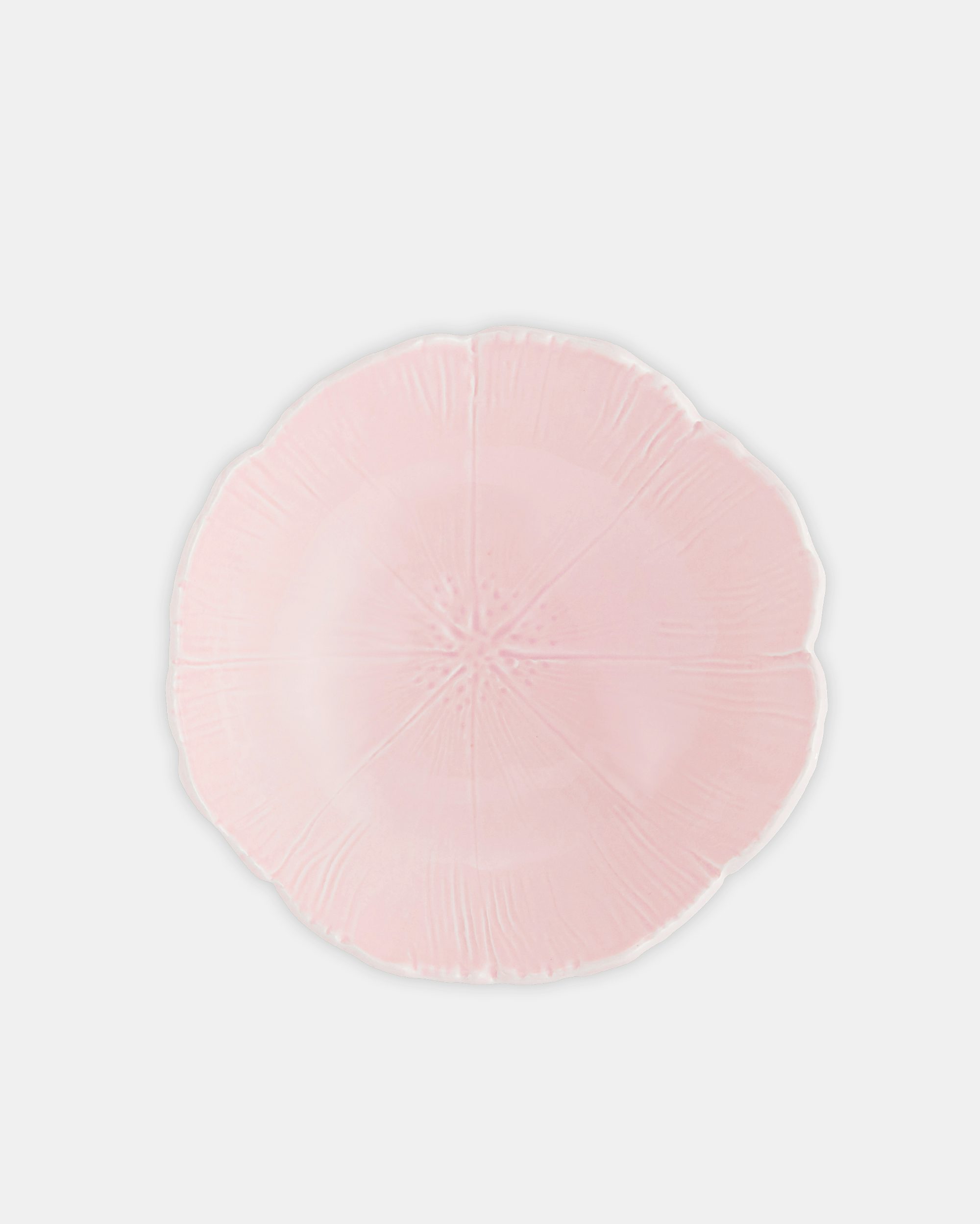 食器 pluie PIEDRA pink Cherry Blossom Soup Plate PINK Aquazzura@ Official